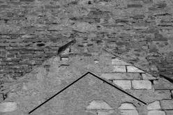 LIBČANY: detail vrcholu románského štítu s pozůstatky omítky, která nese otisk střechy neznámé přisazené konstrukce. Stav v březnu roku 2005 - před opravou kostela (foto M. Falta 2005).